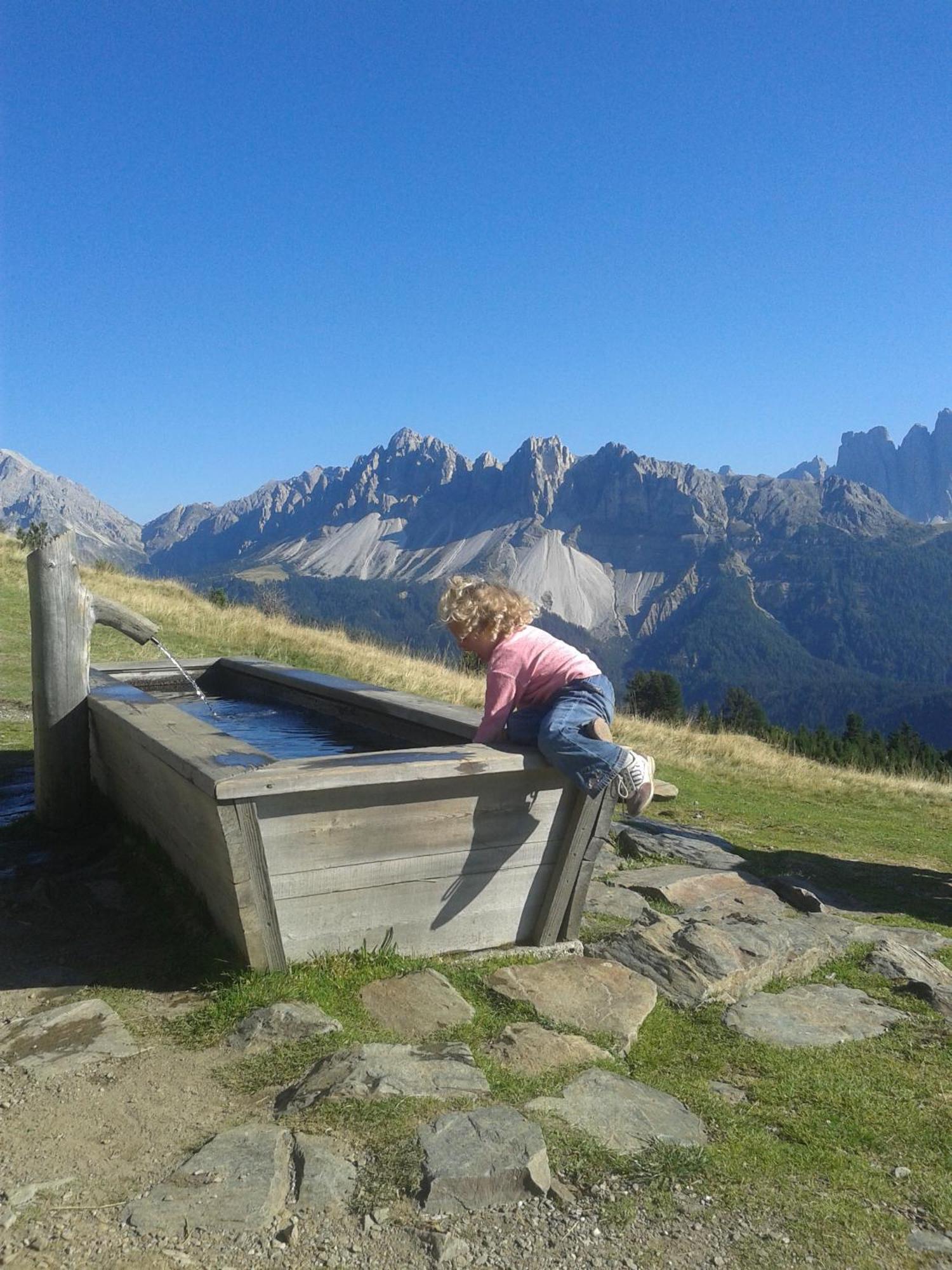 Kaserhof Wandern- Alleinlage - Ruhig- Top Aussicht Bressanone Ngoại thất bức ảnh